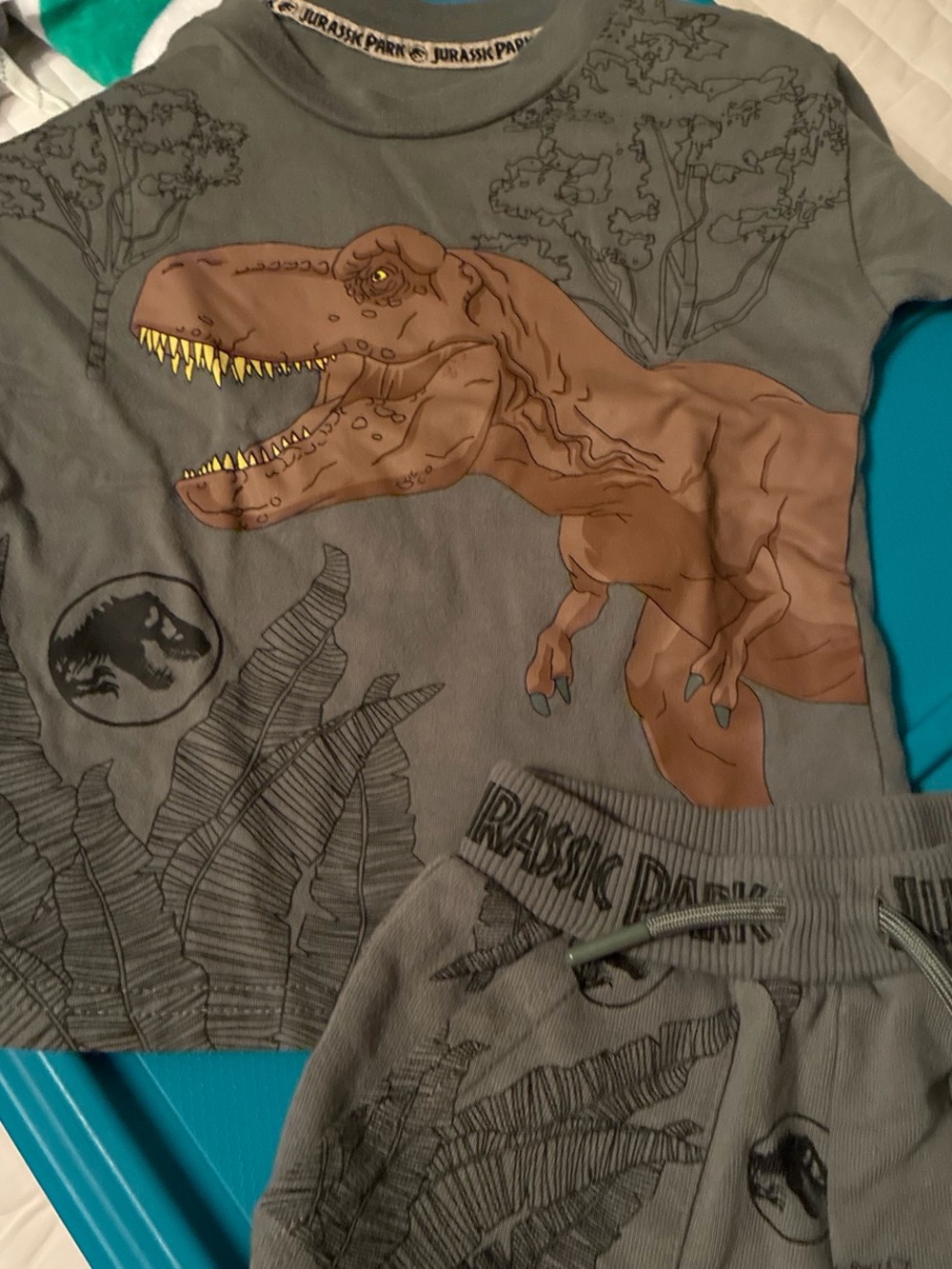 Jurassic Park Boys Grey Dino Tee & Shorts Set